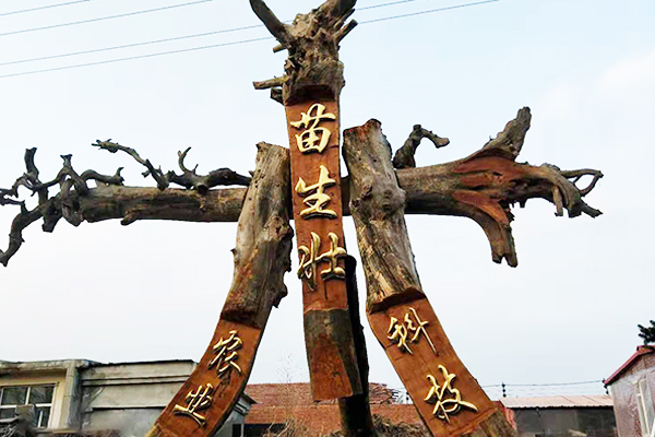 經(jīng)營理念
